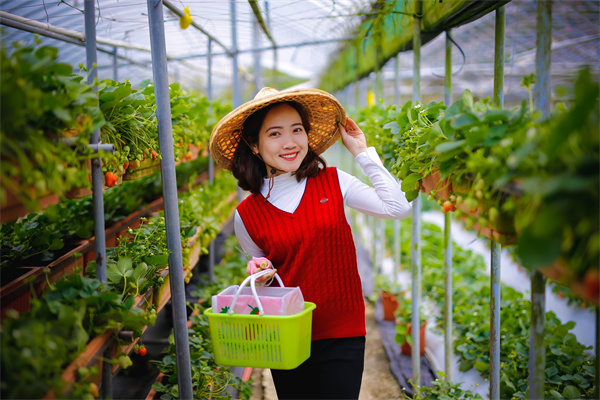 国金证券：加息仍是小概率事件 重点关注通胀粘性对美联储降息节奏的扰动